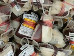 Donor Darah Rutin Pemerintah Aceh, ASN Kominsa Sumbang 36 Kantong