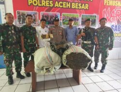 Yonif 117/KY Serahkan Ganja Kering 70 KG ke Polres Aceh Besar