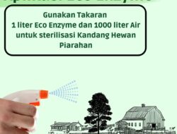 Masyarakat Dapat Aplikasikan Eco Enzyme pada Hewan terjangkit PMK
