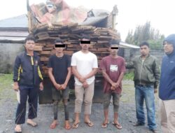 Tiga Terduga Pelaku Illegal Logging Ditangkap