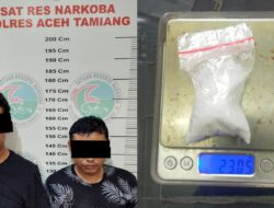 Antar Paket Sabu Pakai Mobil GranMax, Dua Warga Sumut Disergap di Tamiang