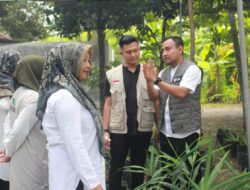 LKC Dompet Dhuafa Aceh Launching Kebun Tanaman Obat Keluarga
