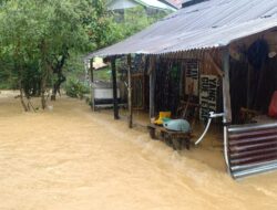 Aceh Selatan Terendam Banjir dan Longsor