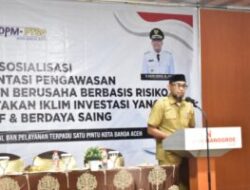 DPMPTSP Sosialisasi Implementasi Pengawasan Perizinan Berusaha Berbasis Risiko