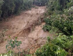 Hujan Deras, Pante Bidari Longsor- Tiang Listrik Patah