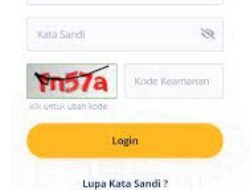 Lupa Kode EFIN saat Mau Lapor SPT? Ini Solusinya..