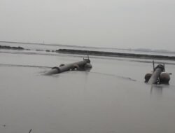 Terkuak, Harta Karun Terpendam di Lumpur Lapindo, Langka