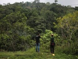 Tiga Mukim di Pidie Menanti Penetapan Hutan Adat