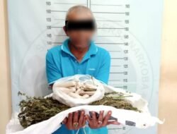 Simpan 34 Paket Ganja dalam Bagasi Motor, Seorang Kakek di pidie Diringkus Polisi