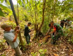Kasus Pemilik Ternak vs Harimau, FJL Minta Polisi Pertimbangkan Aspek Kemanusiaan