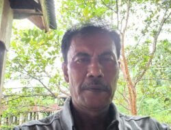 Bapanas Tetapkan Harga Baru Pembelian Gabah, SPI Aceh: Petani Bisa Bangkrut