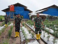 Kasdam IM: Food Estate Korem 012/TU Dorong Produktivitas Pangan Nasional