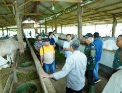 Danrem 012/TU Bahas Penjajakan Integrasi Sawit Dan Sapi