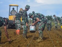 Dandim 0107/Asel Pimpin Penanaman Jagung di Lahan Hanpangan Pasie Raja