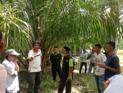 Warga Rantau Binuang Minta Pemkab Selesaikan Persoalan Lokasi Pembangunan RS Pratama