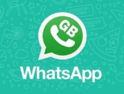 Cara Update Apk GB Whatsapp yang Aman Versi Skala Official