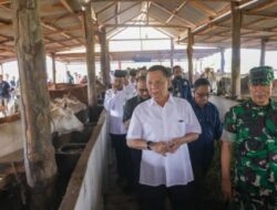 Disnak dan Pemkab Aceh Jaya Gelar Penertiban Ternak Berbasis Pemberdayaan