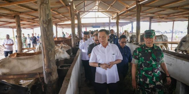 Penjabat Gubernur Aceh, Achmad Marzuki, didampingi Kadisnak Aceh Zalsufran, ST, M.Si, saat meninjau peternakan sapi Kelompok Tani Teuku Umar Farm, di Alue Peunyareng, Aceh Barat, Rabu (10/5/2023) lalu.