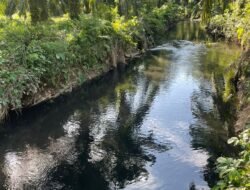 Limbah Sawit Milik PKS Raja Marga Diduga Cemari Sungai di Nagan Raya