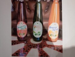 Usaha Rumahan Sirup Kelapa Gading, Sirup Buah Aneka Rasa