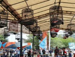 Festival Kicau Mania Sambut Hari Bhayangkara Polres Aceh Selatan