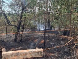 Satu Hektar Lahan Terbakar di TPA Blang Bintang Aceh Besar