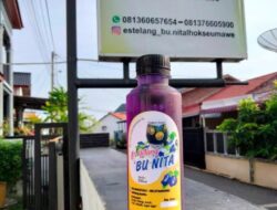 UMKM di Lhokseumawe Manfaatkan Bunga Telang Jadi Minuman Segar dan Berkhasiat