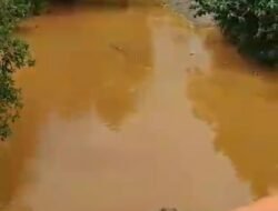 Putra Kluet Tengah Minta Aparat penegak Hukum Telusuri Penyebab Sungai Menggamat Keruh
