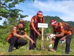 Pemuda Pancasila Aceh Selatan ikut Serta Penanaman Bibit Pohon,Ini Harapannya