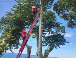 Pemeliharaan Lampu Jalan sekitar Mata Ie-Anoi Itam terus Dilakukan