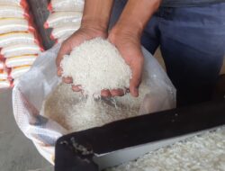 Biang Kerok Harga Beras Naik Terkuak!