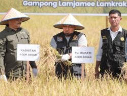 Pj Bupati Aceh Besar Panen Perdana MT Gadu Tahun 2023