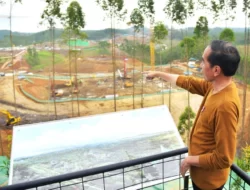 Ini Negara yang Paling Getol Mau Investasi ke IKN