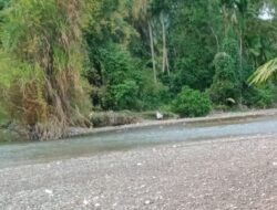 Erosi Krueng Samadua Meluas Gampong Air Sialang Hilir Terancam Amblas