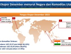 Ekspor Provinsi Aceh Melonjak 76% pada Desember 2023, Dominasi Batubara ke India