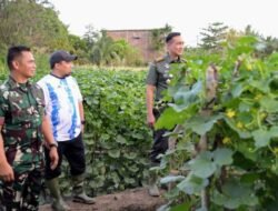 Pj Bupati Aceh Besar Tinjau Kebun Jagung dan Melon Yonif Raider 112/DJ