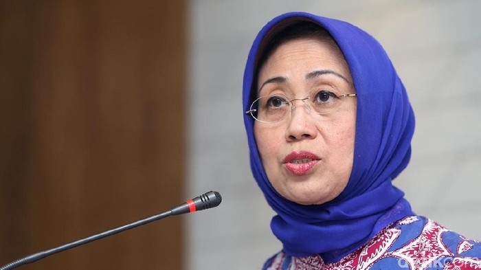 Ketua Dewan Pers, Ninik Rahayu. [Foto: detikcom]