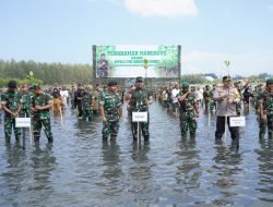 Kepala Staf Angkatan Darat tanam Mangrove di Aceh