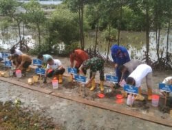 Dukung RTH, DKP Aceh Tanam Mangrove di PPS Kutaraja