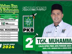 Ketatnya Persaingan di Dapil ‘’Neraka’’ 2 Pijay, PKB Siap Merebut 2 Kursi