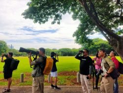 Ancol Taman Impian Gelar Asian Waterbird Census