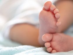 Bayi Dalam Kardus Ditemukan di Depan Ruko, Polisi Cari Pelaku