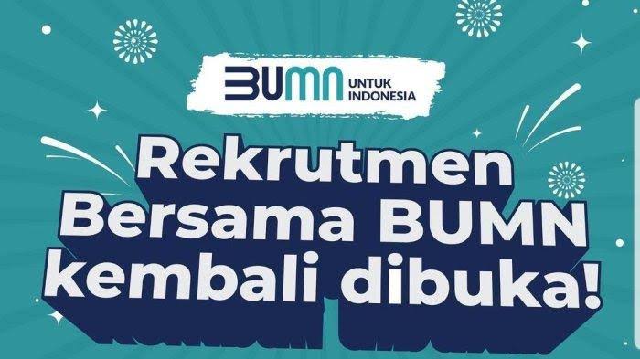 Penerimaan BUMN/ist