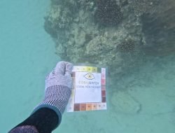 Kondisi Terumbu Karang di Pulo Aceh Mengkhawatirkan