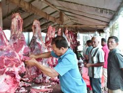 Meugang Ramadhan, Sabang Potong 76 Ekor Sapi dan 3 Kerbau