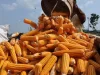 Mentan Desak Bulog dan Pengusaha Pakan Serap Jagung Petani