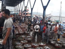 Cold Storage di PPS Kutaraja Lampulo Full