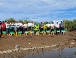 Pengadilan Negeri Banda Aceh Tanam 2000 Bibit Mangrove di Lampulo