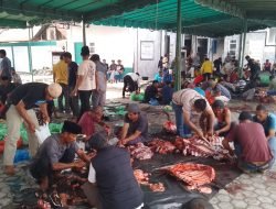 Kampung Blang Kolak I Sembelih 16 Ekor Hewan Qurban