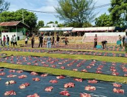 Gampong Meunasah Papeun Bagikan 1.476 Paket Qurban